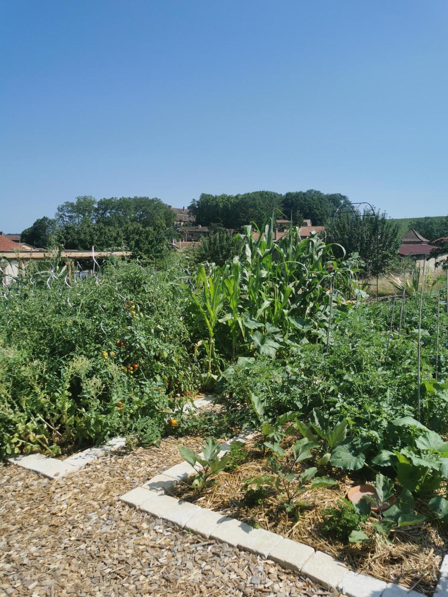 Au Jardin Des Deux Roches Bed & Breakfast Prisse Exterior photo